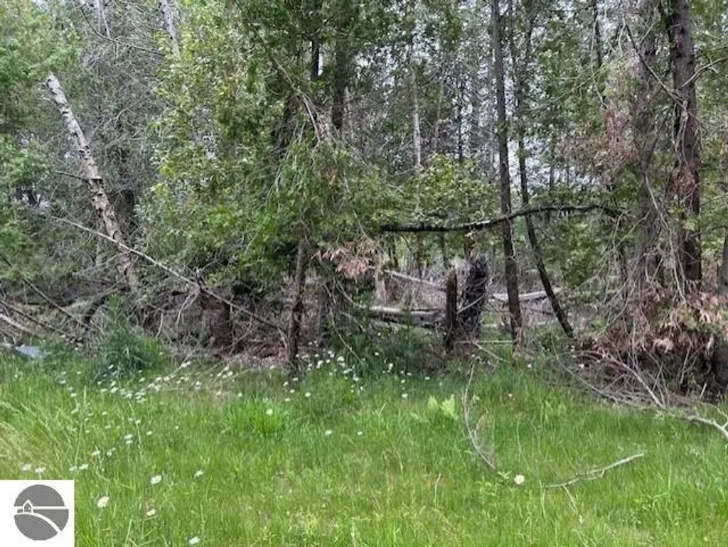 Pine Tree Trail, Oscoda