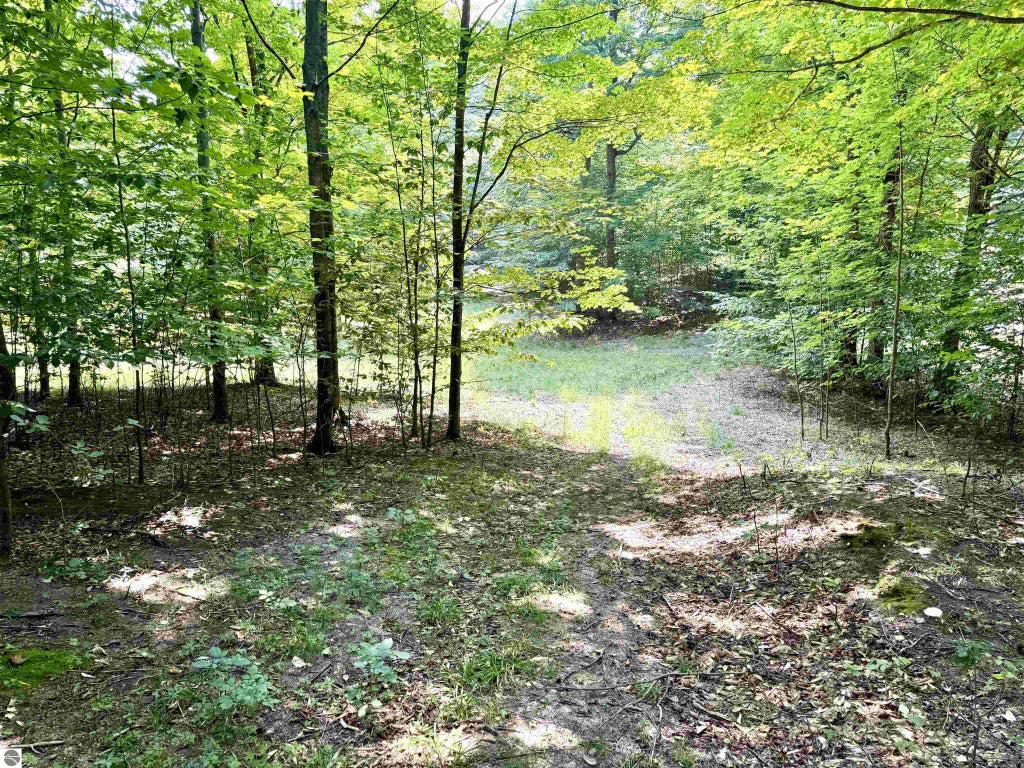 0015 S Mistys Trail, Empire