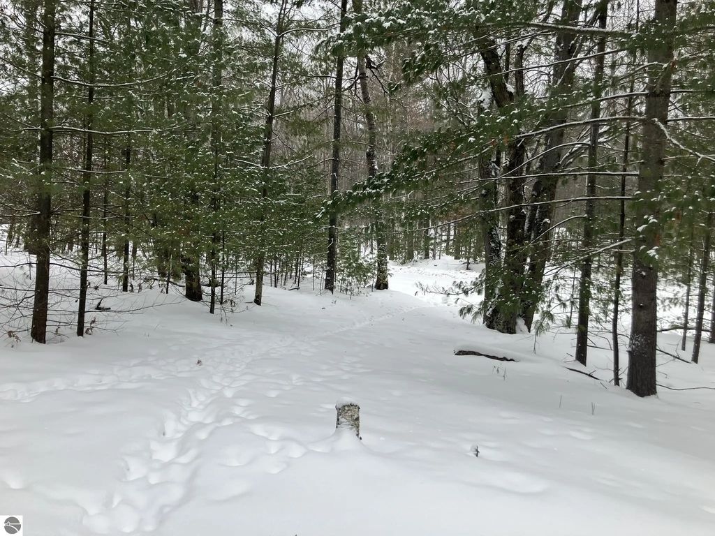 Vl Wilderness Circle, Alger
