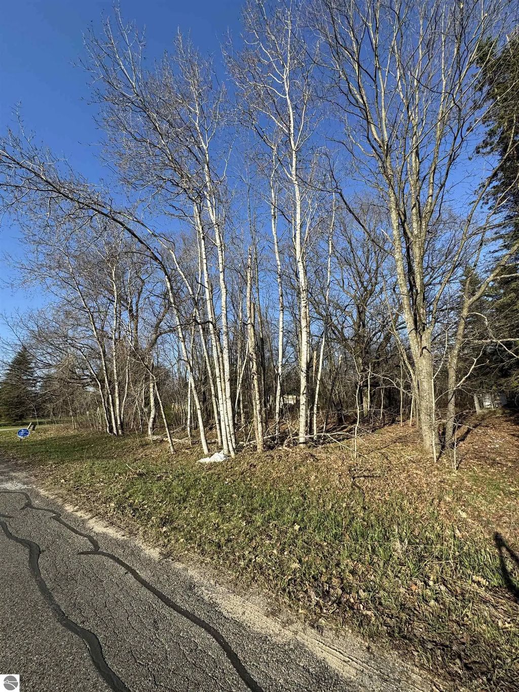 3603 Cecil Road, Cadillac