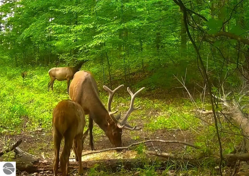 Beckett, Johannesburg