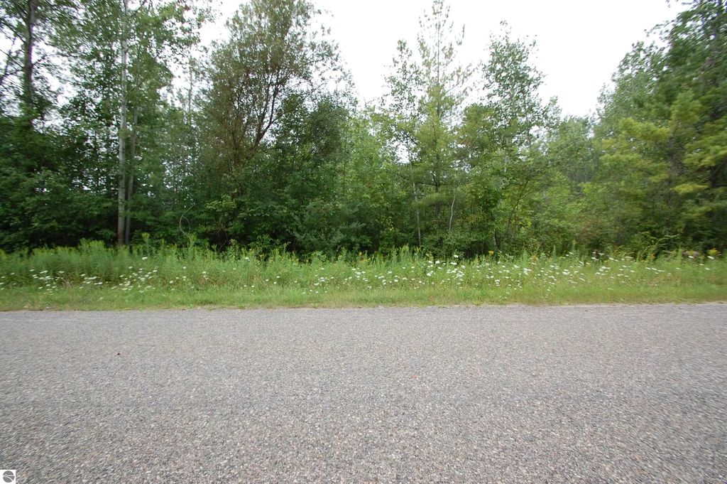 Crawford Street, West Branch
