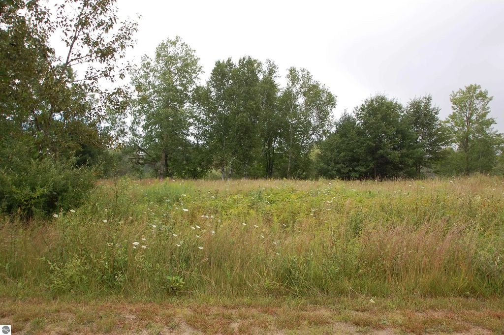 Arthur Court, West Branch