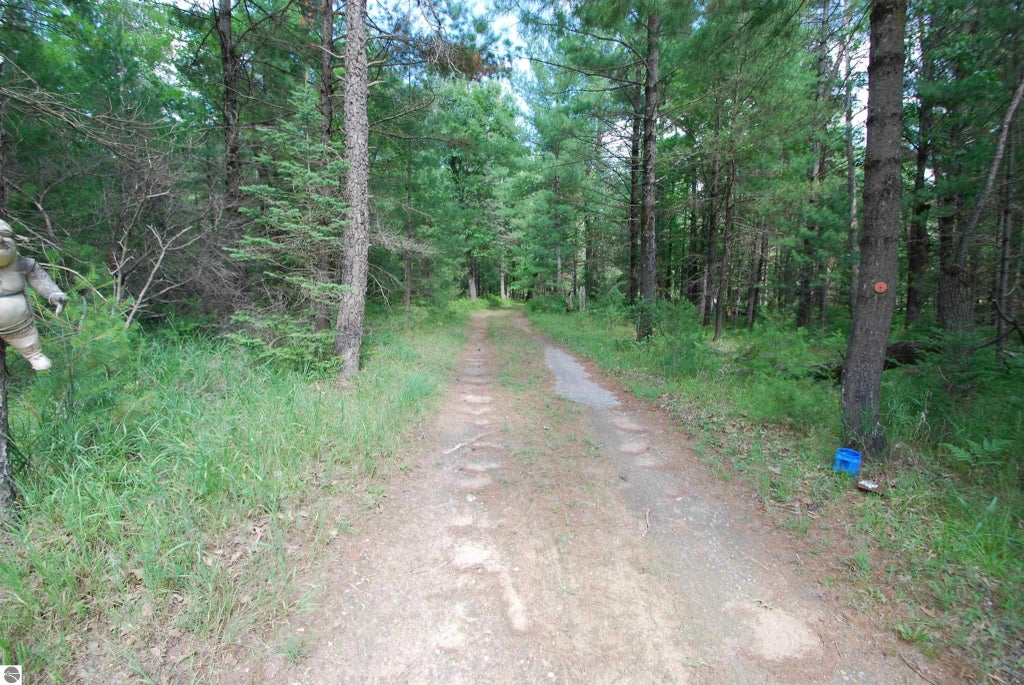 Vl Primrose Lane, West Branch