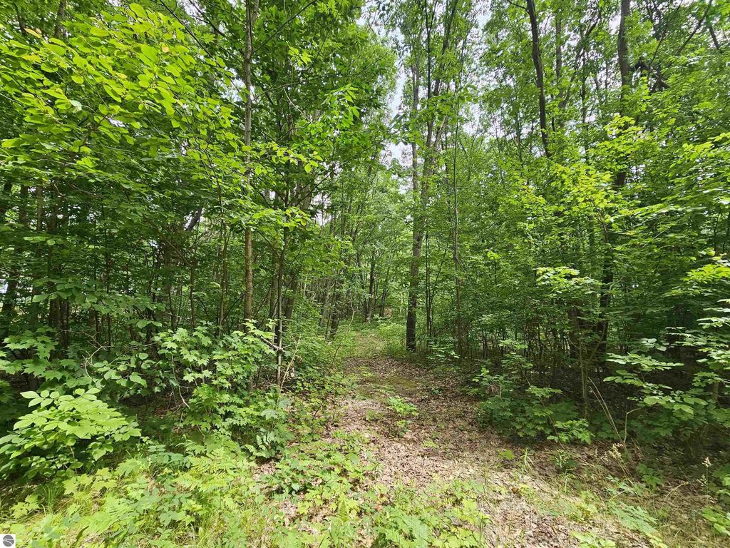 6509 Mareny Drive, Marion