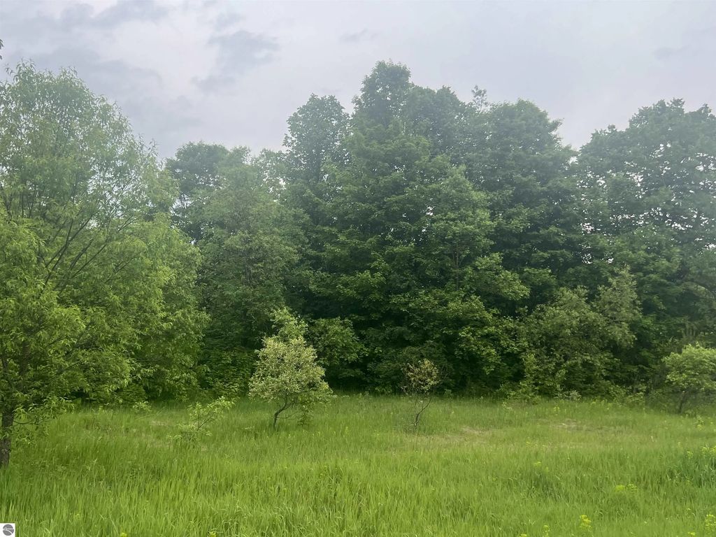Wood Road, Ne, Kalkaska