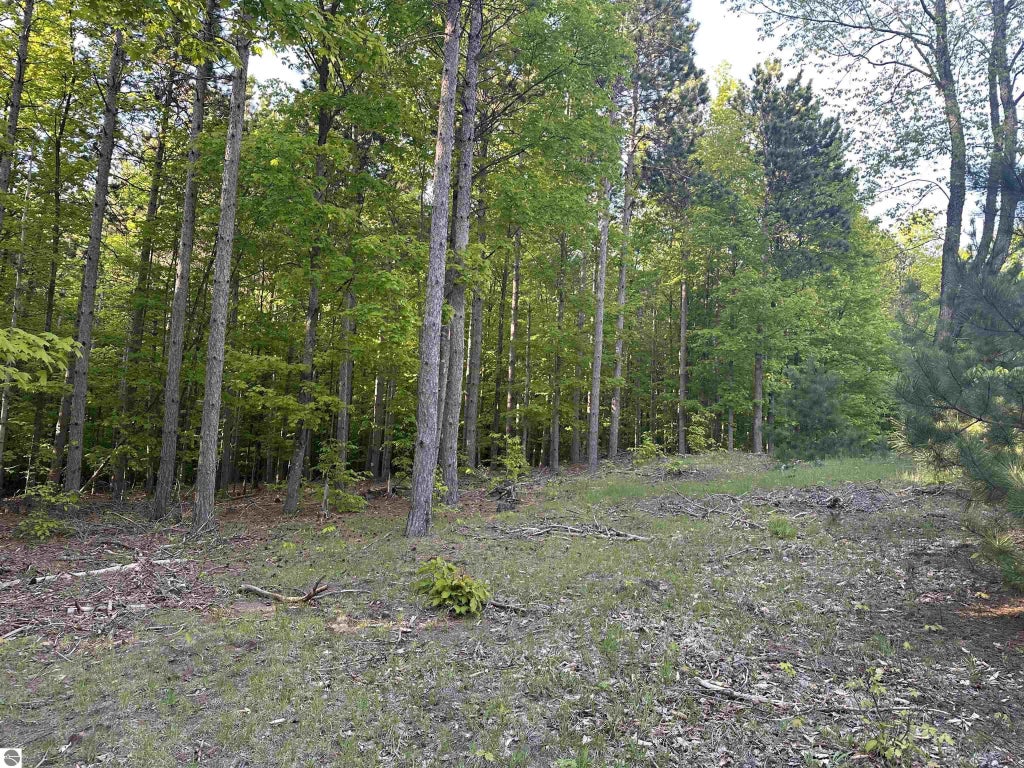 Parcel 8 Karnes Road, Glen Arbor