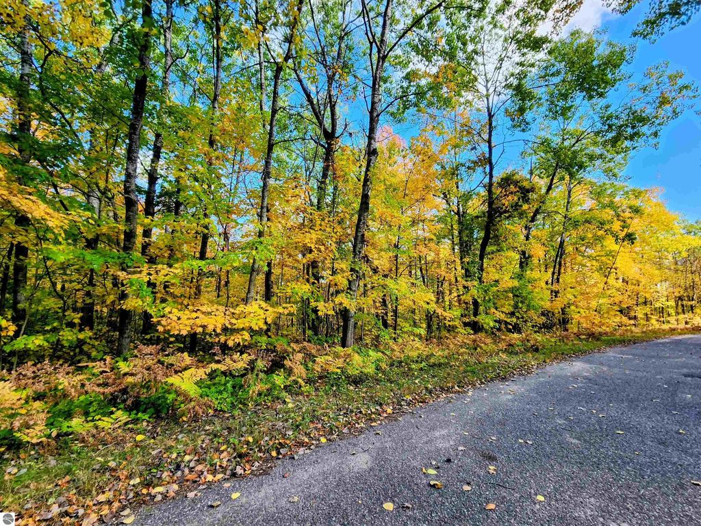 Lot 235 Cliffmont Drive, Mancelona