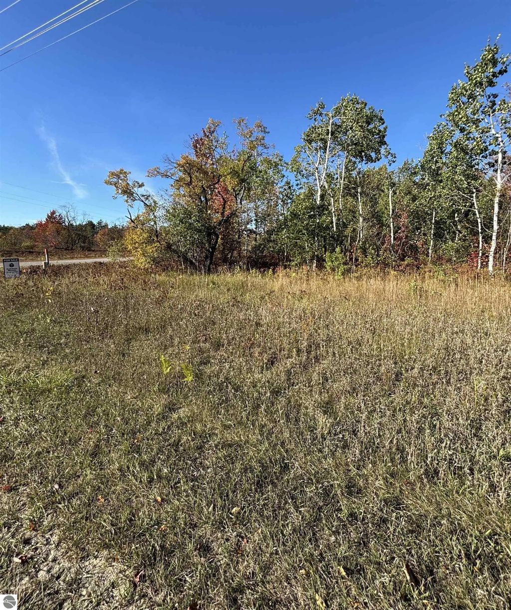 Lot 1200 Thornton Drive, Mancelona