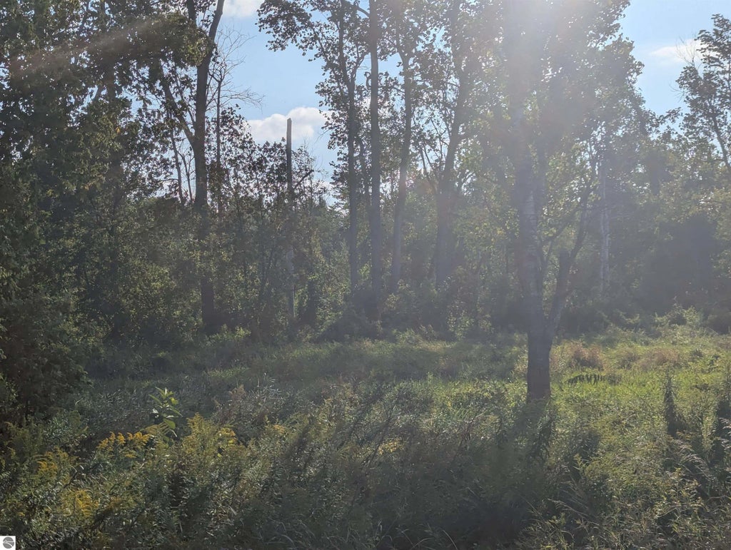 N/a Andrews Road, Tawas City