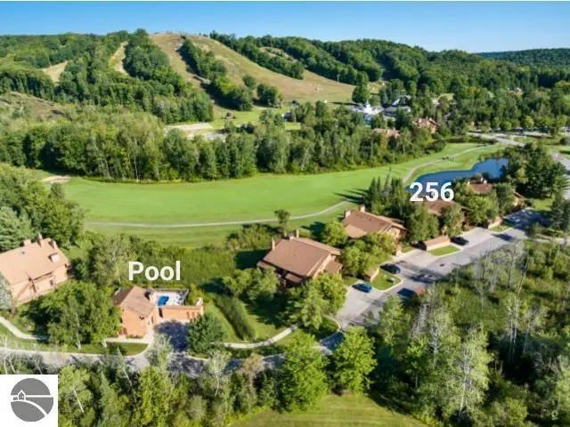 6658 Schuss Mountain Lane 3256, Mancelona