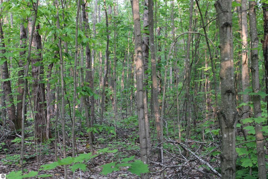 Snowridge Trail, Elmira