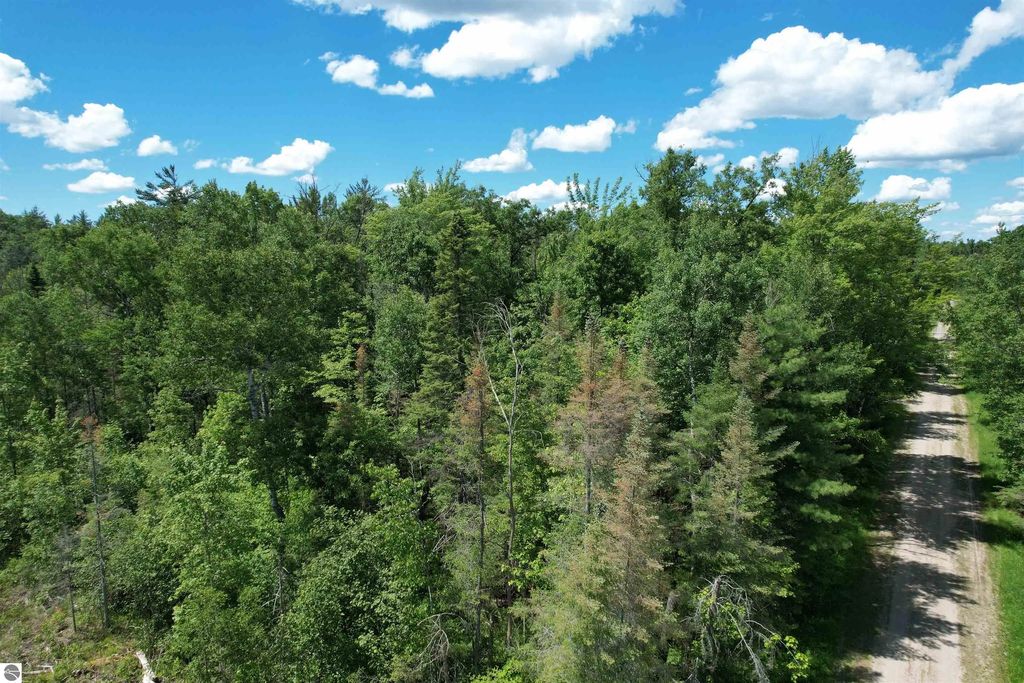 3936 S Deadstream Road, Houghton Lake