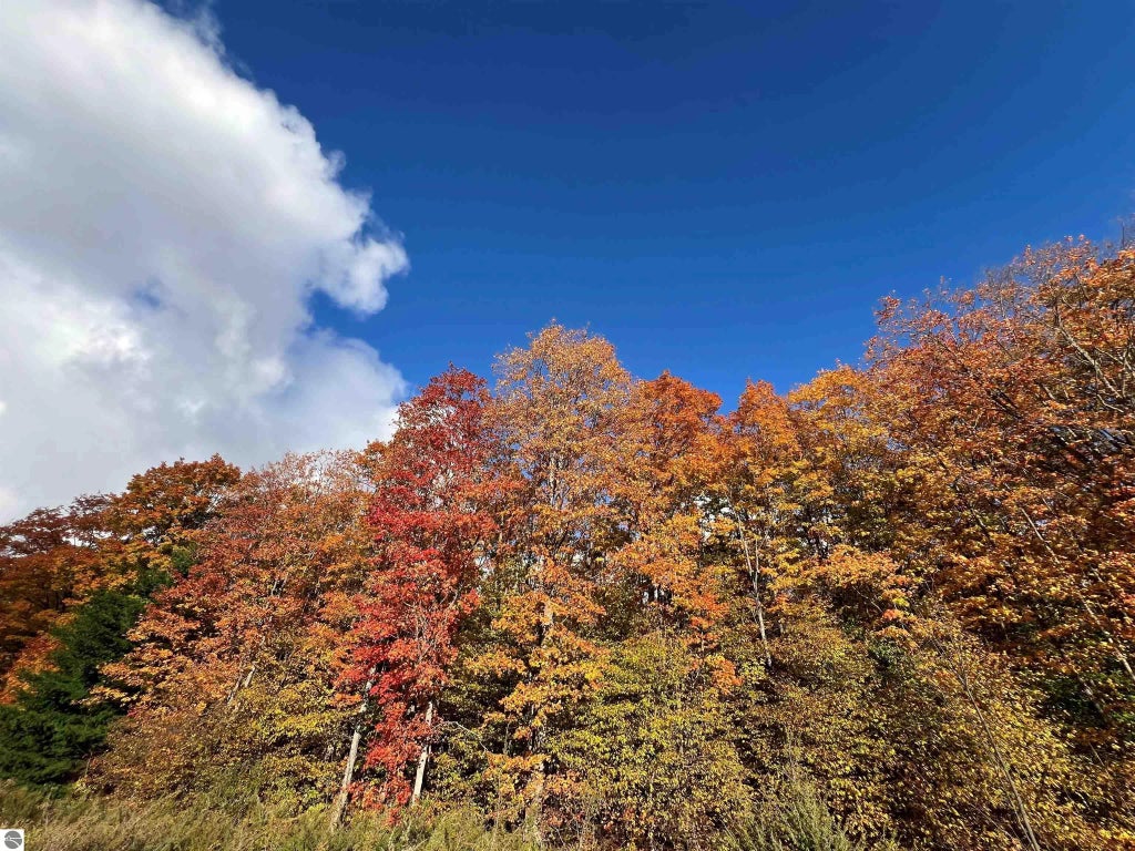 Tbd Old Horton Bay Road, Boyne City