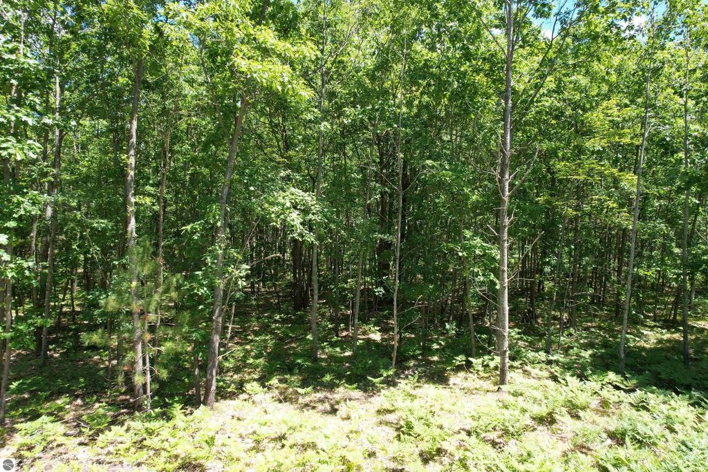 2966 W Houghton Lake Road, Lake City