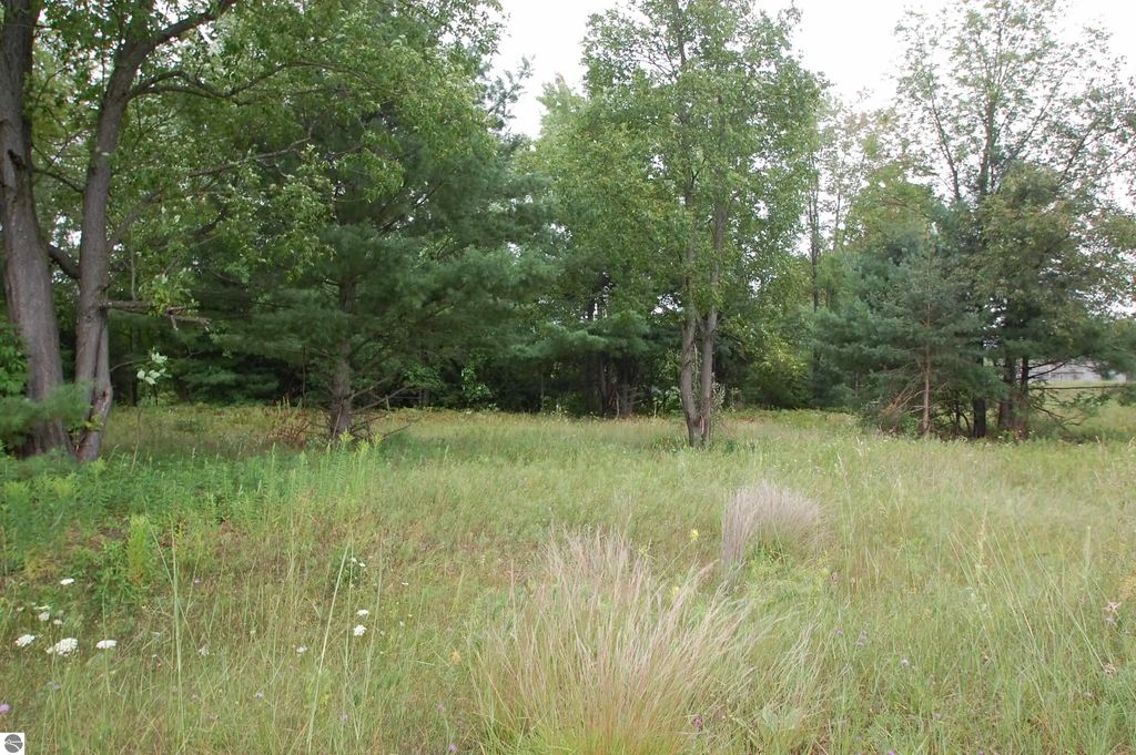 Jonathan Court, West Branch