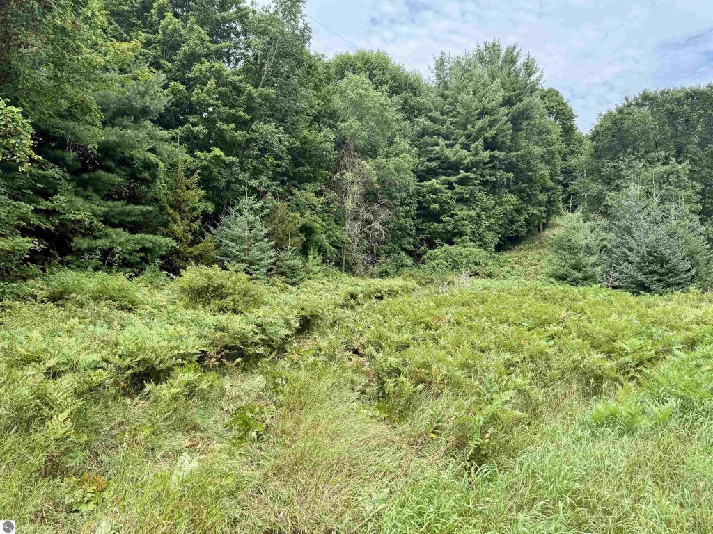 W Empire Highway, Empire