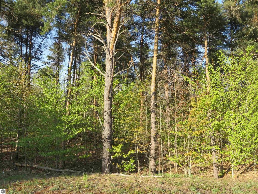 4169 Maple Hill Road, Grawn
