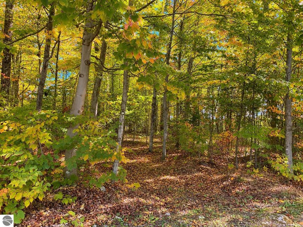 3930 Spruceview Lane, Mackinac Island