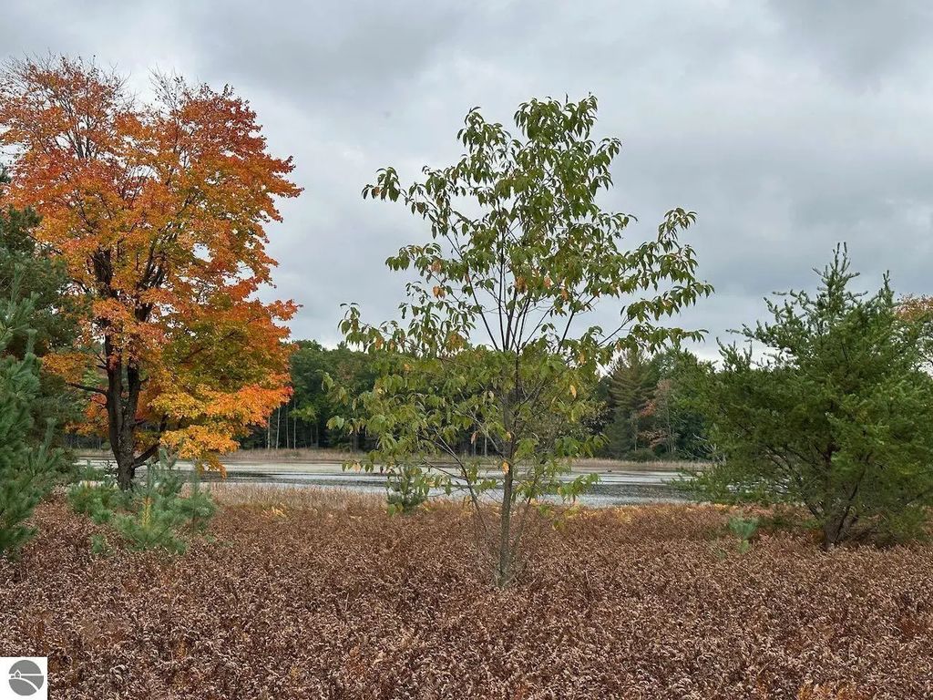56 Se Blue Heron Drive, Kalkaska