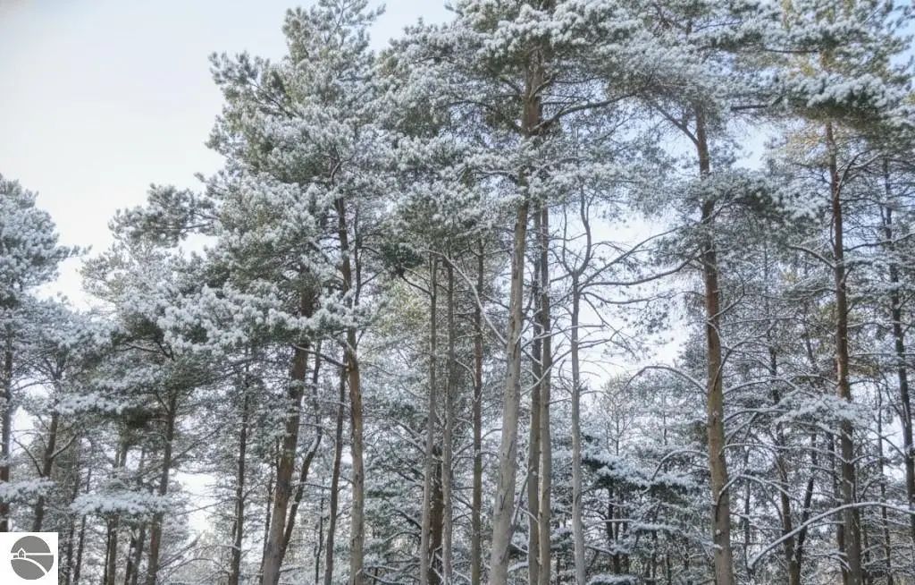 10 Spruce Hollow Trace, Fife Lake