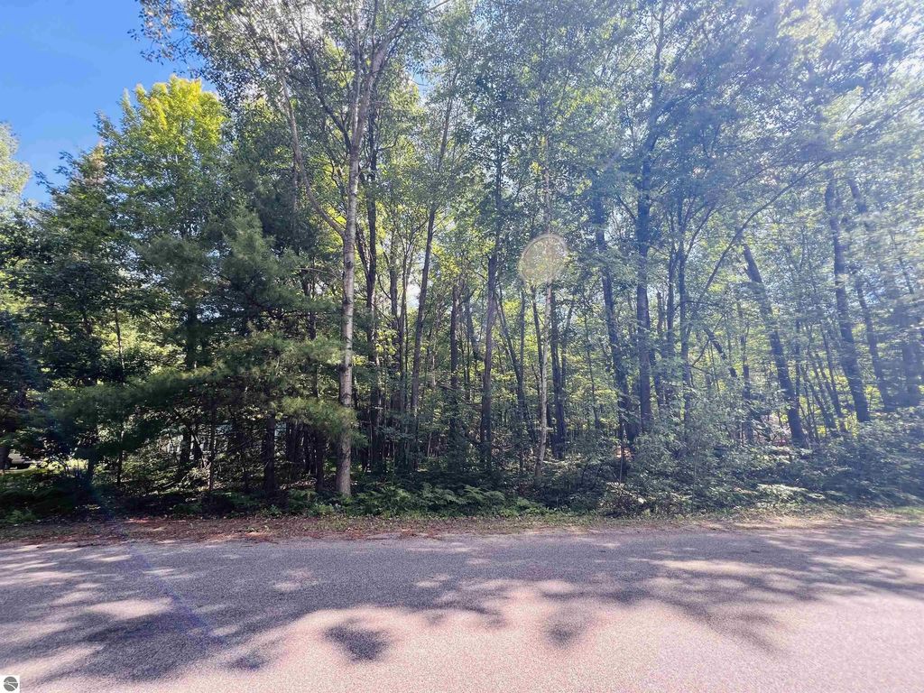 Lot 789 Redwine, Houghton Lake