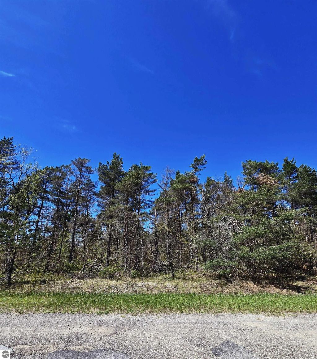 253 Country Club Drive, Mancelona