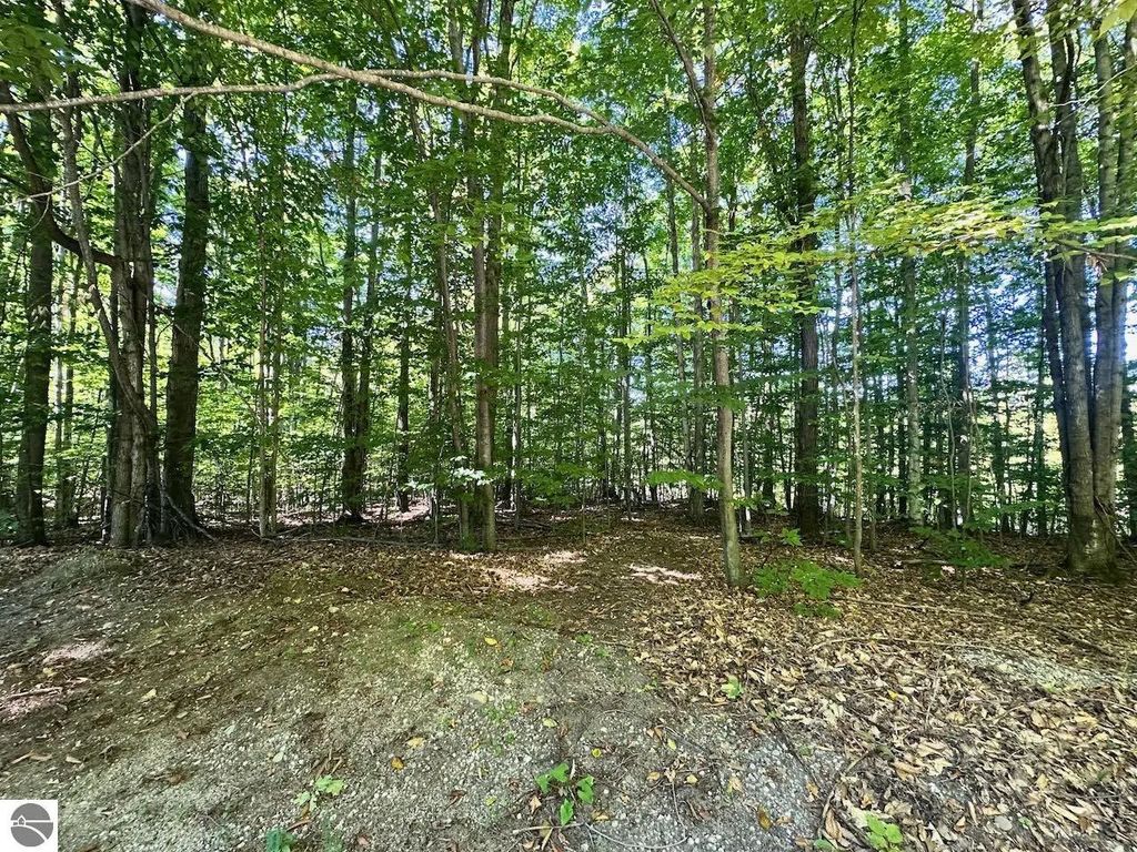 Lot 21 Wonder Strasse, Bellaire