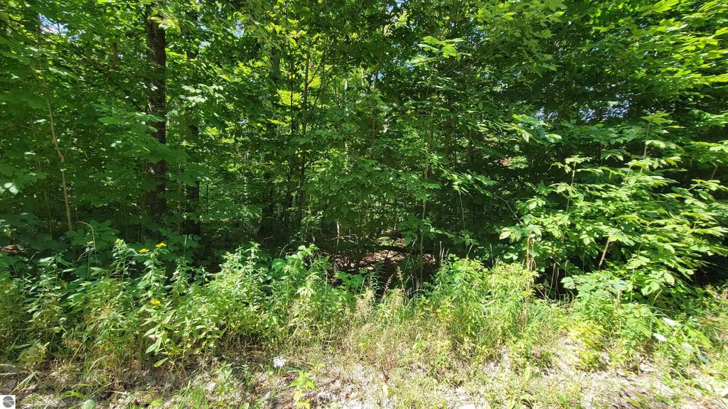 Vl Beechnut Lane, Wolverine