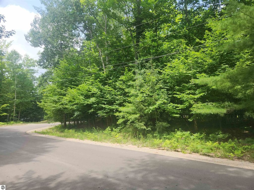 Birch View Trail, Lake Ann