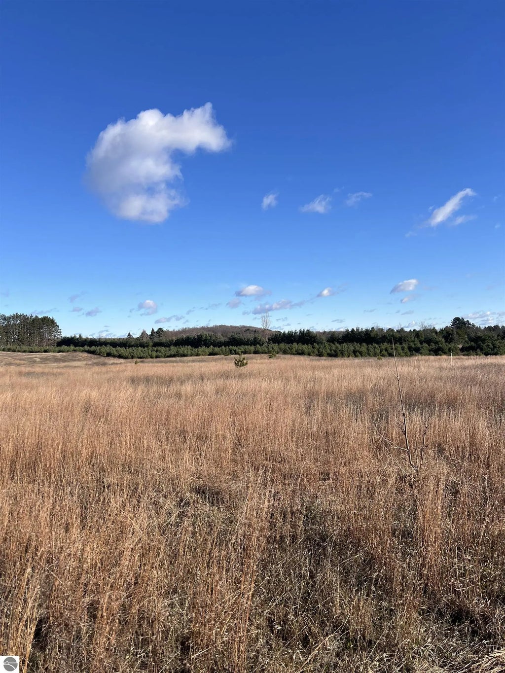 Vacant Land Johnson Road, Bellaire