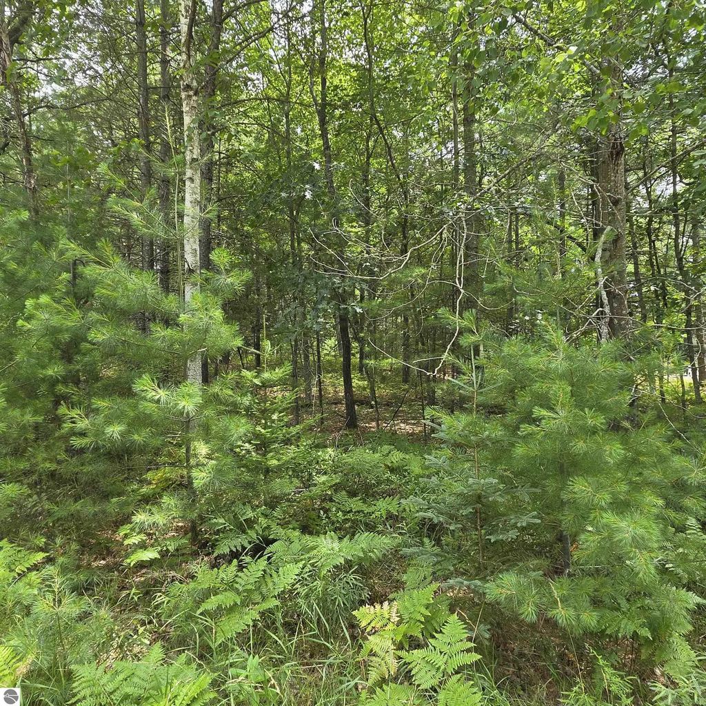 Lakewood Drive, Oscoda