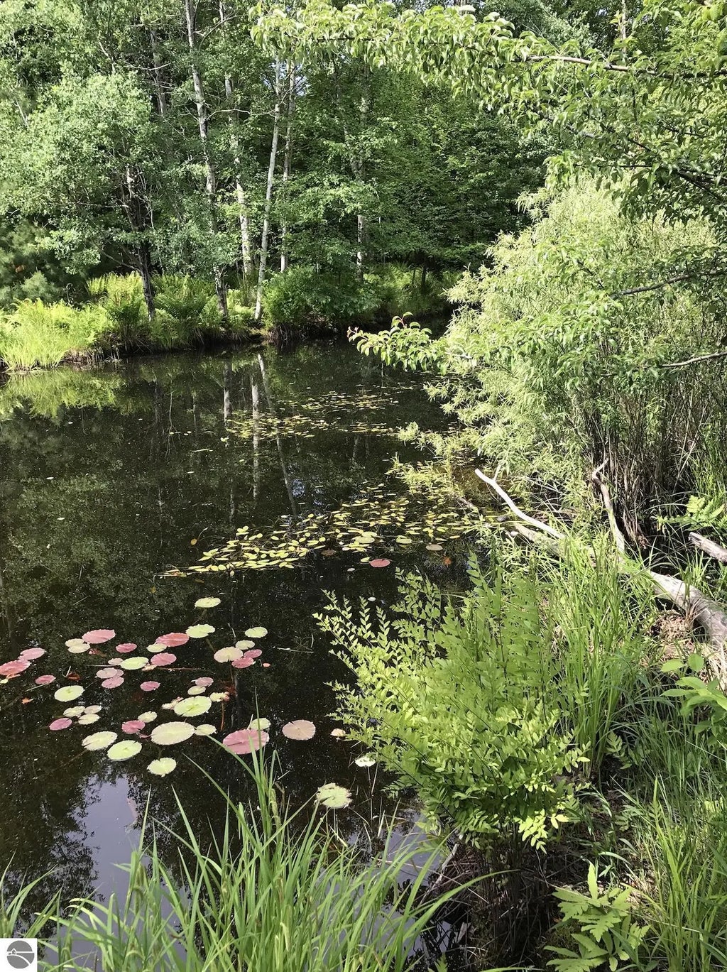 W Deborah Ann Trail, Empire