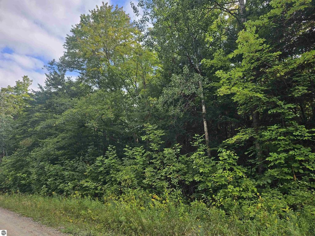 Riverview Road, Mesick