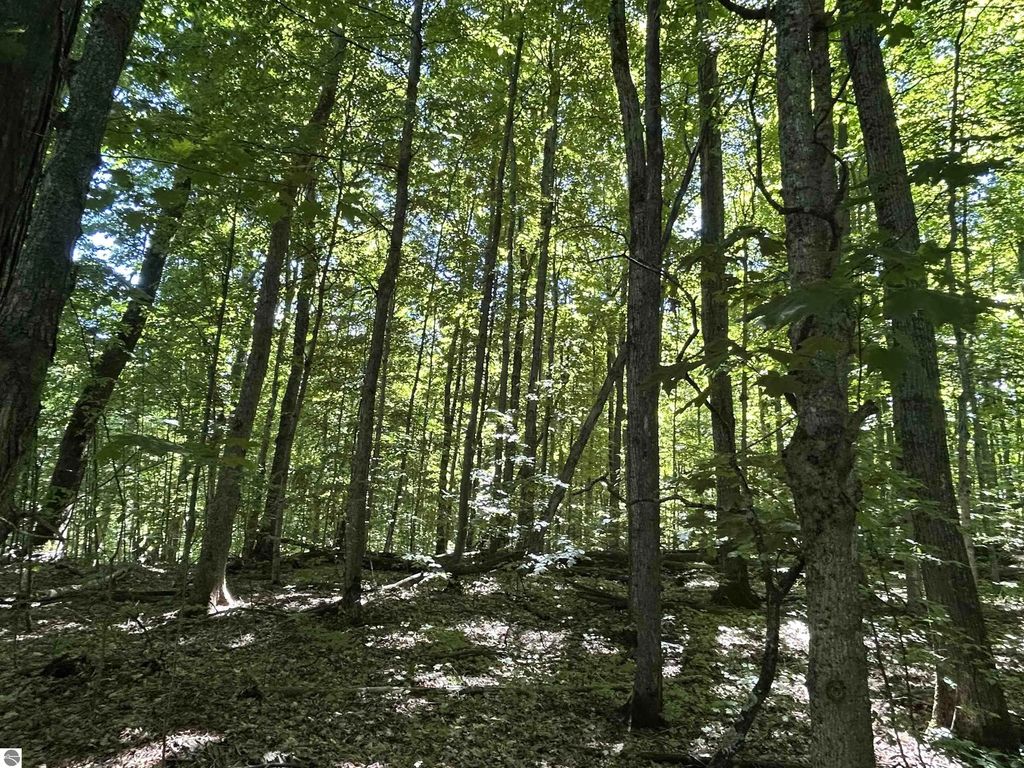 Lot 129 Troon South, Bellaire
