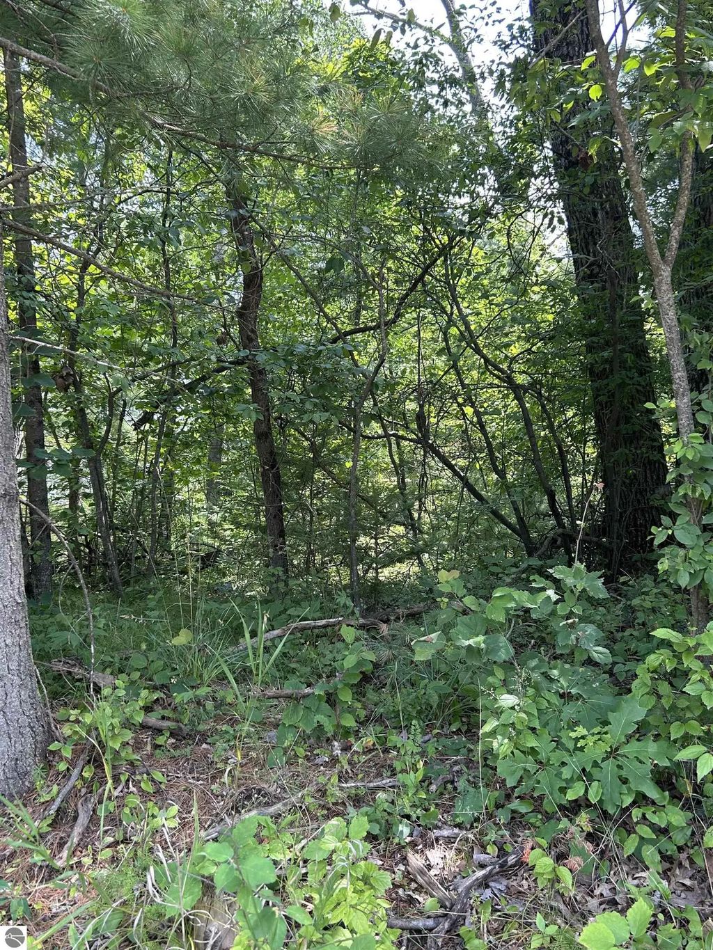 Vl_828 Choctaw Trail, West Branch