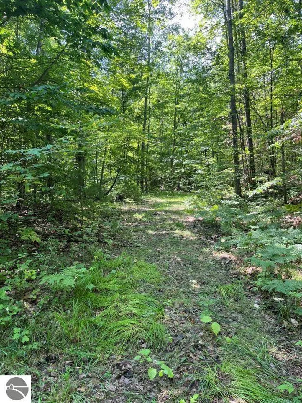 211 Logging Trail, Leroy