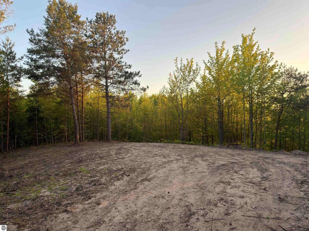 3779 Scholl Road, Mancelona