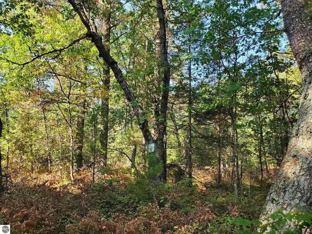 Boehm Road, West Branch