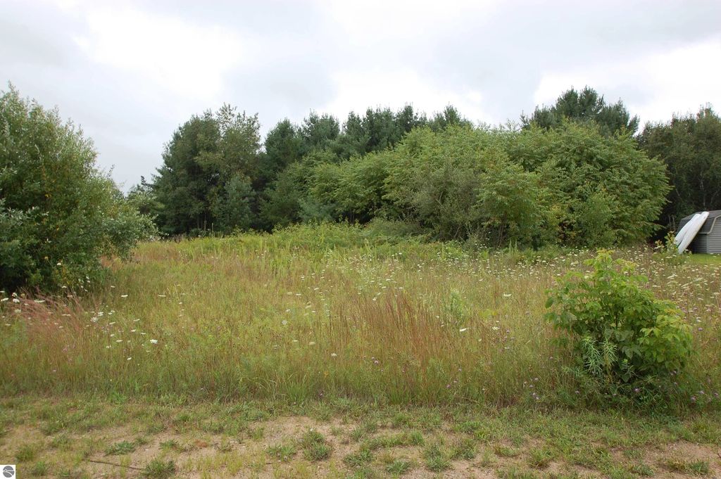 Arthur Court, West Branch