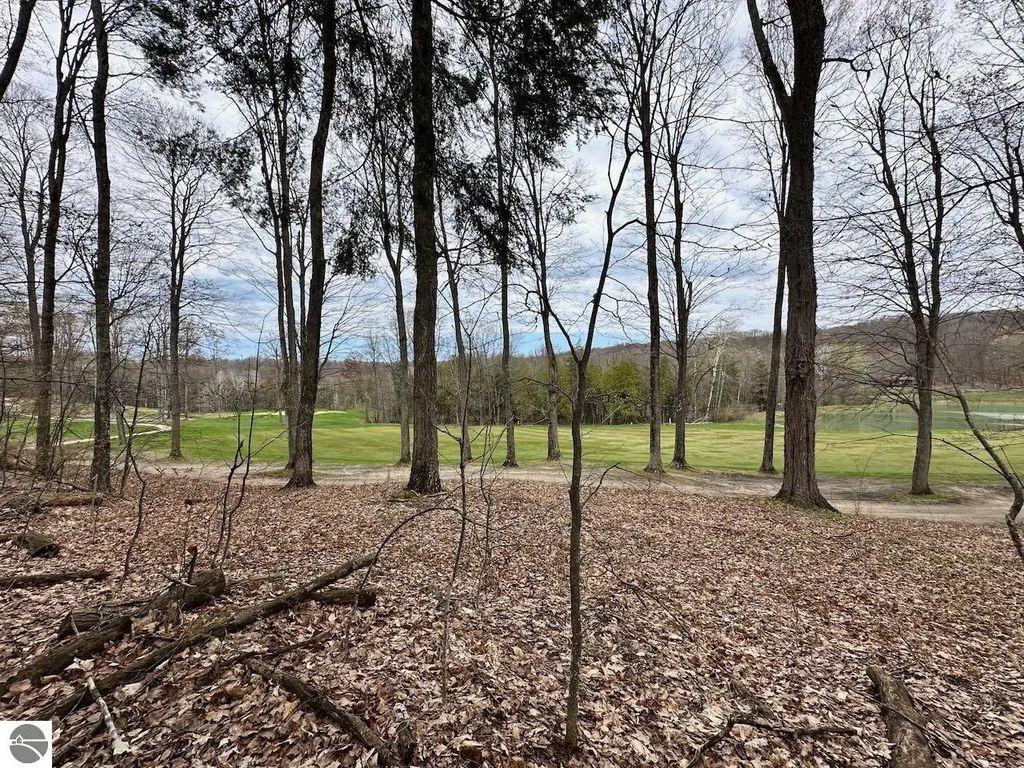 Unit 19 Forest Trail, Bellaire