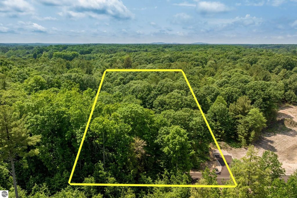 4655 Leaning Birch Drive, Traverse City