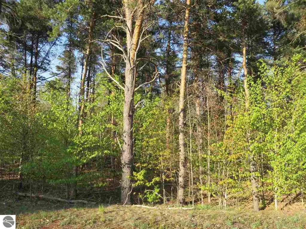 20.71 Spruce Hollow Trace, Fife Lake