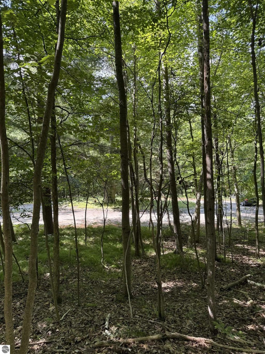 Tbd Rivers Edge Trail, Mt Pleasant