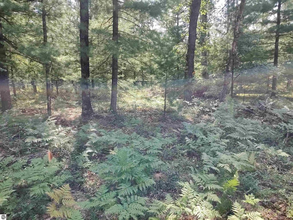 Lot 186 Winterset Drive, Alger