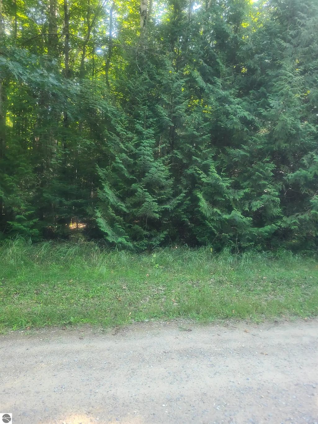 Birchwood Trail, Oscoda
