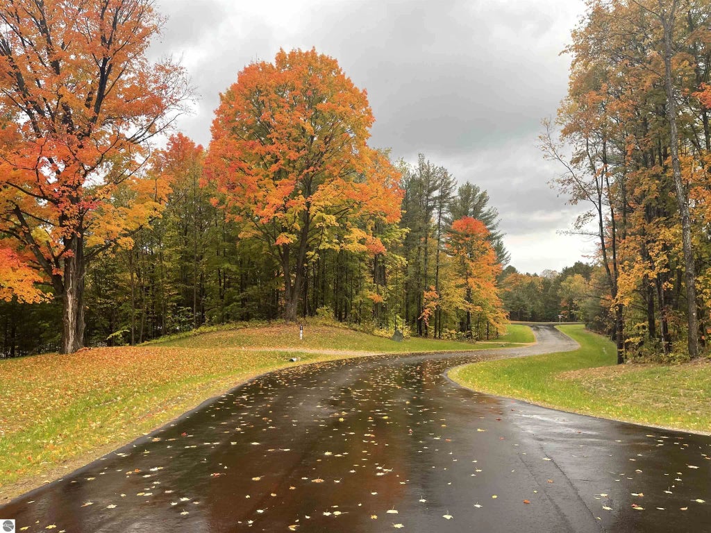 6165 Mountain Sky Road, Kingsley