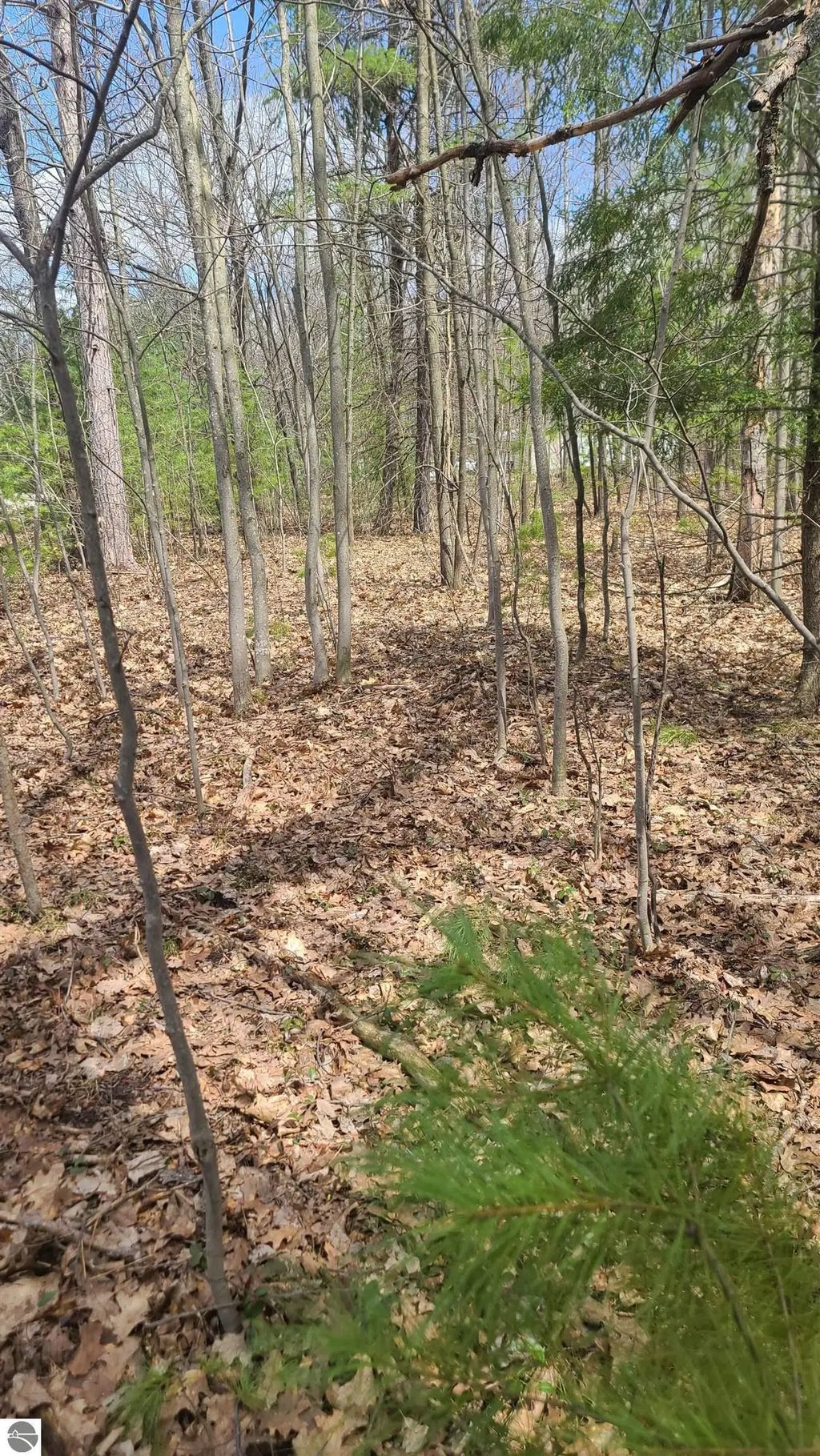 0001 Laura Lane, Kalkaska