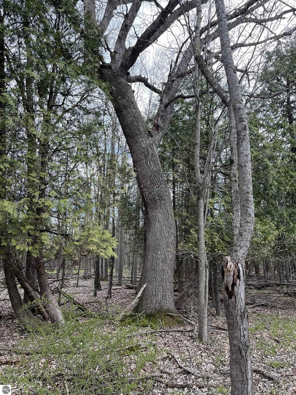 Nka Pine River Road, Standish