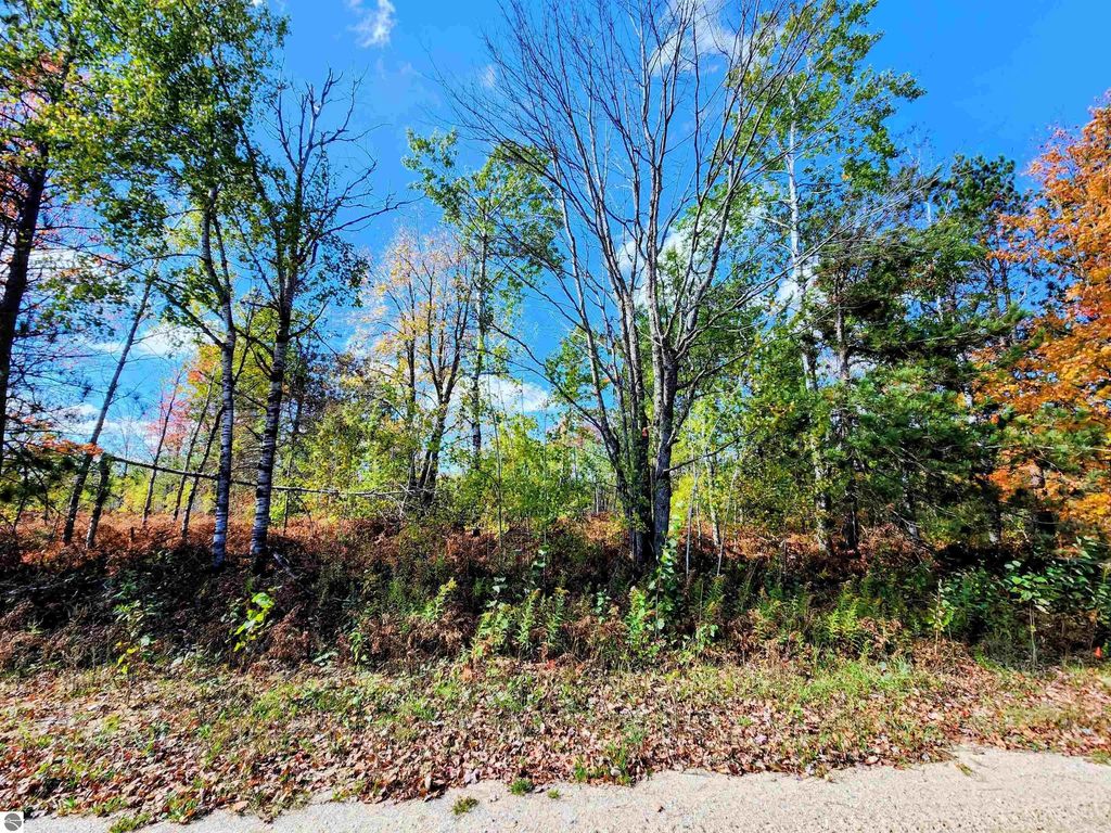 Lot 697 Wildomar Drive, Mancelona